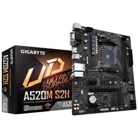 Gigabyte GIG-REA-PB A520M S2H