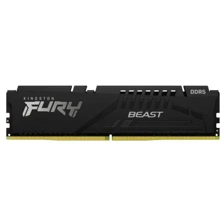 Kingston Kin-fb Kf560c36bbe-8