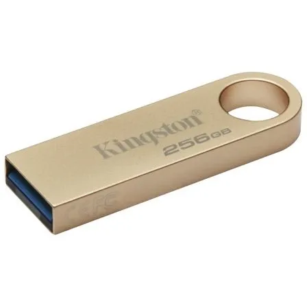 Kingston Kin-jetflash SE9 G3 GD 256GB