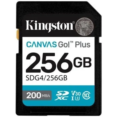Kingston Kin-sd Sdg4 256GB