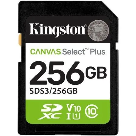 Kingston Kin-sd Sds3 256GB