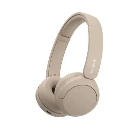 Sony-aur Wh-ch520 BG